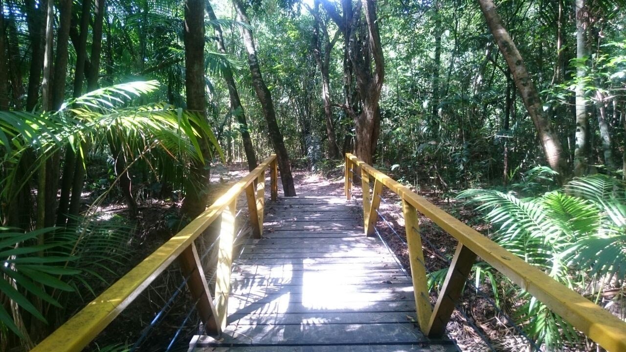 O Passeio do Mindu, no bairro Parque Dez, será o primeiro espaço público da capital a receber intervenções por meio do programa “Trabalhando a Liberdade”. 