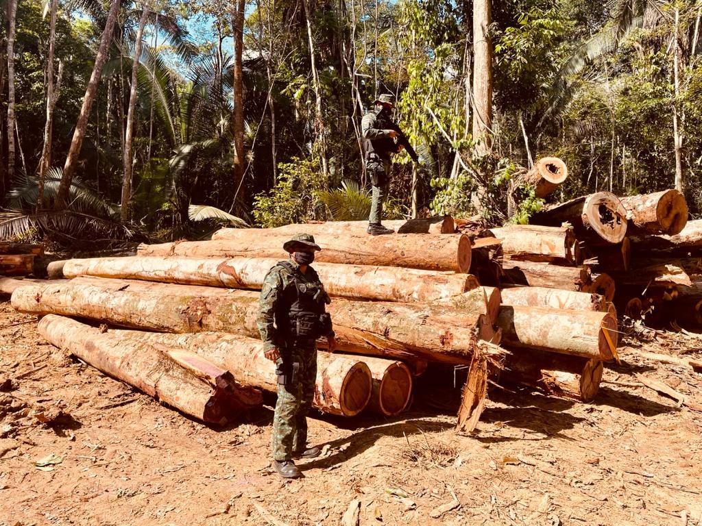 Durante a operação “Tamoiotatá”, do Governo do Estado, aproximadamente 700 metros cúbicos de madeira ilegal foram apreendidas. 