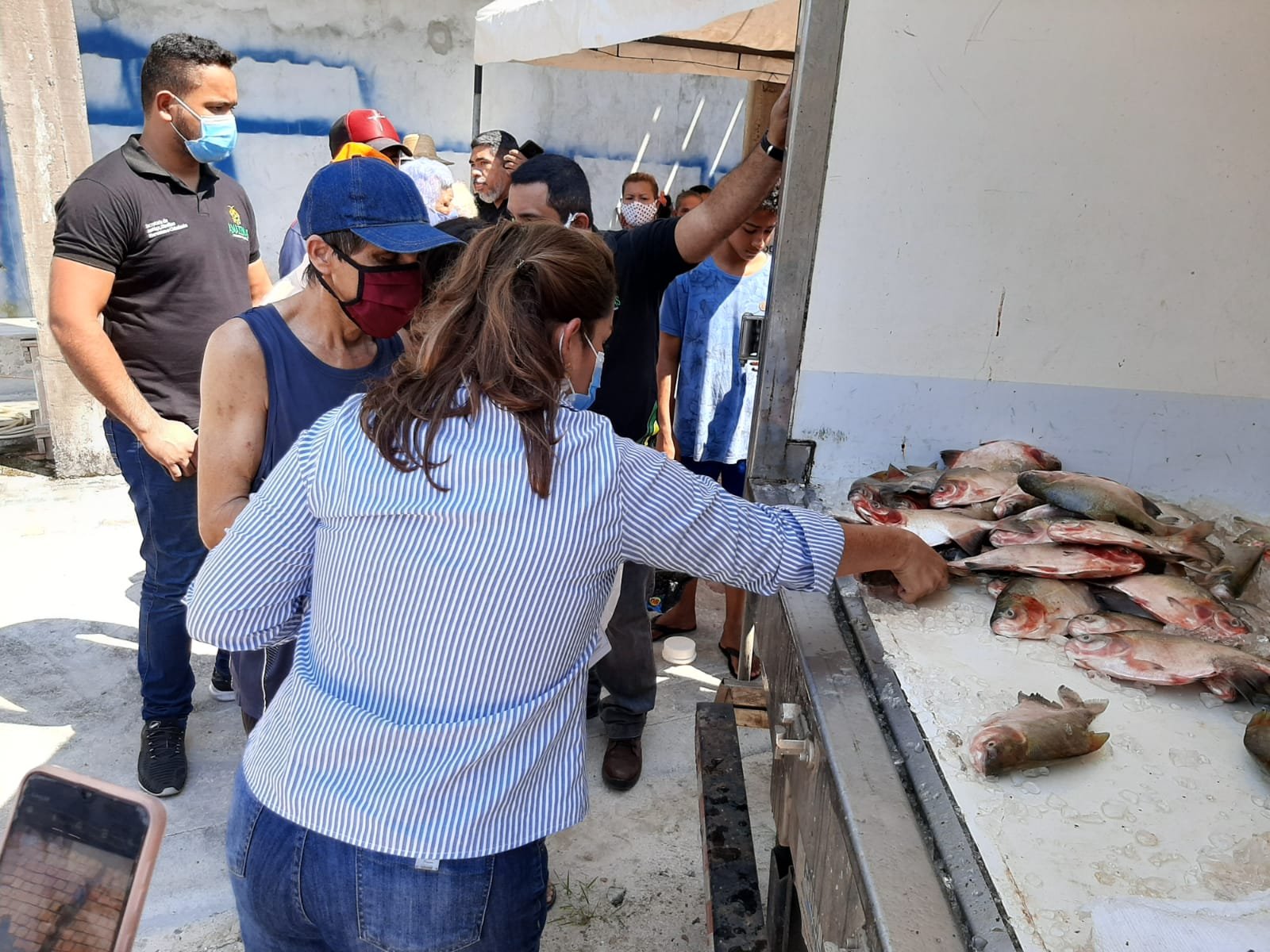 O Governo do Estado do Amazonas, realizou hoje (06/08), a segunda edição do “Peixe no Prato Solidário”.