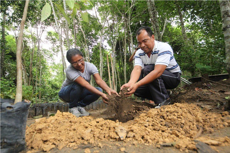 Lei sancionada pelo prefeito David Almeida obriga empresas públicas e privadas a destinarem restos de alimentos para a produção de adubo.