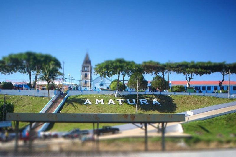 amatura