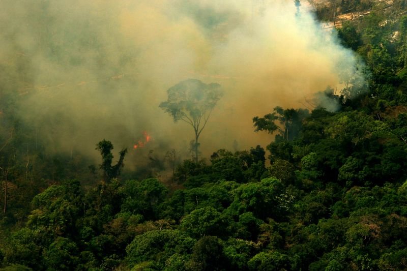 Quase 100 entidades, personalidades públicas, cidadãos brasileiros e estrangeiros já assinaram a “Carta Amazônia e Mudanças Climáticas”.