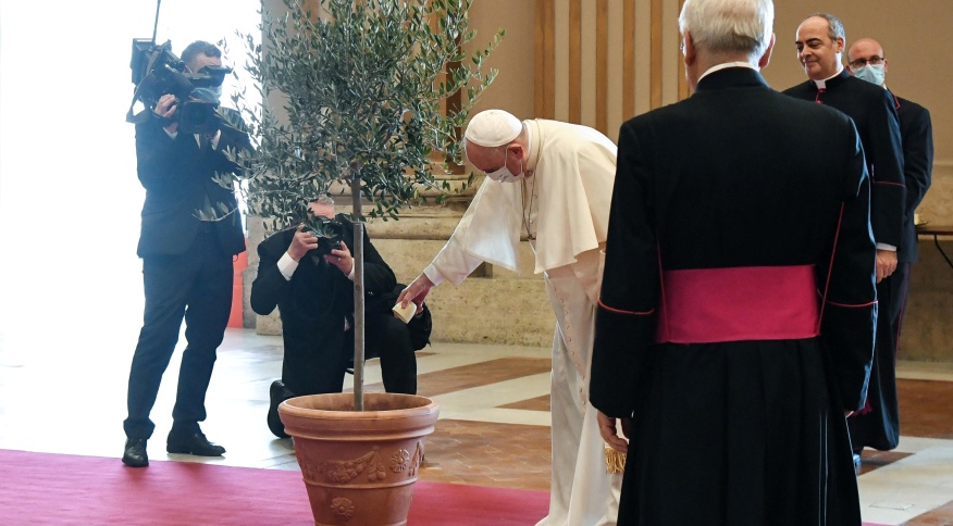 No urgente debate climático e ambiental, o papa Francisco gosta de dar as cartas. E sabe muito bem fazer isso.