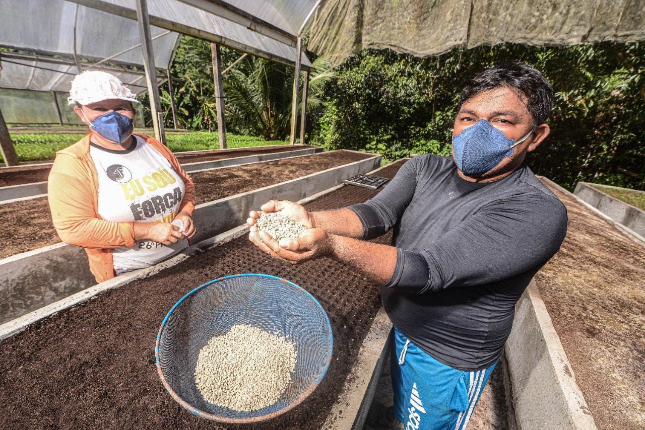 Segundo dados do Instituto Brasileiro de Geografia e Estatística, em 2022, a produção de cereais, leguminosas e oleaginosas deve aumentar 10,2%.