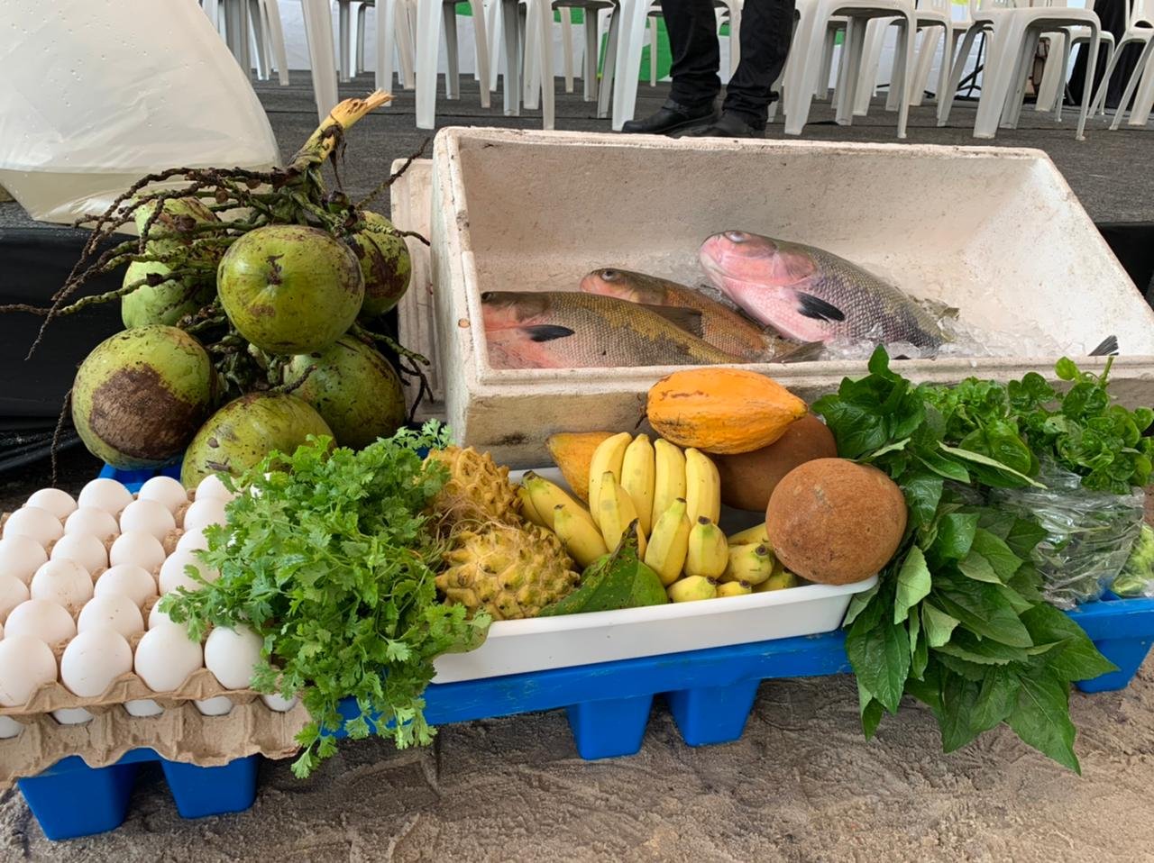 Os produtores rurais da agricultura familiar da capital amazonense, foram beneficiados com ações da 2ª edição do programa “Manaus+Agro”,.