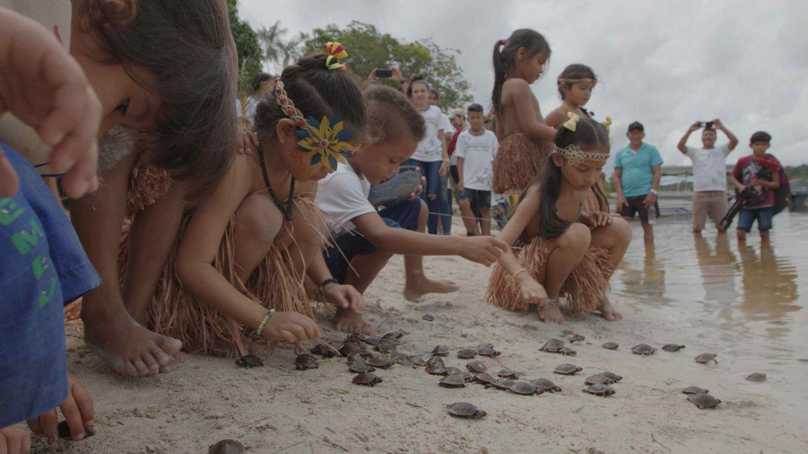A comunidade indígenas Nova Esperança, localizada na Conquista, realizou a soltura de 226 quelônios às margens do rio Cuieiras.