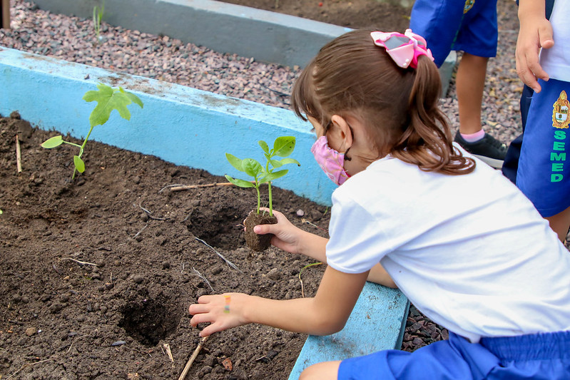 Professores e alunos do Cmei realizaram nesta quinta-feira, 14/7, o plantio de mais de cem mudas de verduras e frutas na horta escolar.