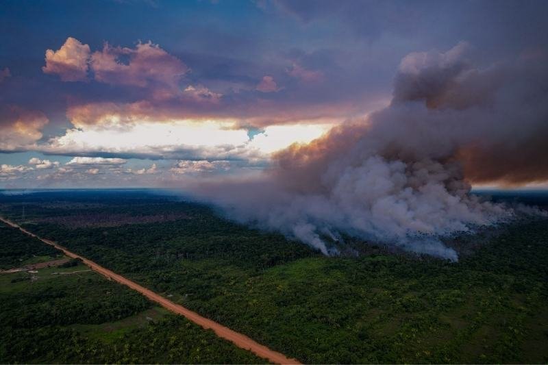 Apenas o asfalto em trecho da BR-319 (Manaus-Porto Velho/RO) não proporcionará desenvolvimento econômico ao Amazonas e Rondônia.