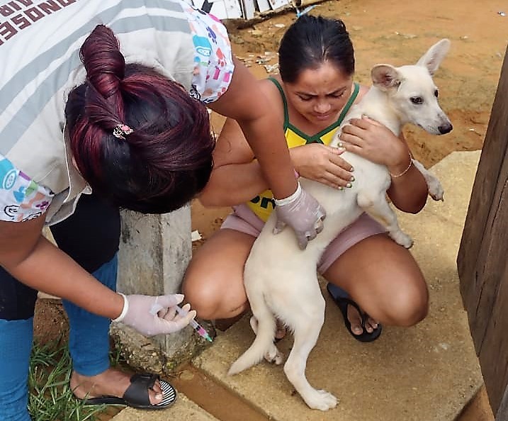 A Fundação de Vigilância em Saúde Drª Rosemary Costa Pinto alerta a população sobre a importância da vacinação contra raiva nos cães e gatos.