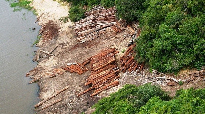 Um grupo europeu comprou uma fazenda maior que a cidade de São Paulo na Amazônia de forma irregular, segundo o Incra
