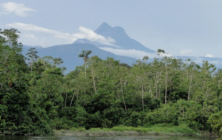 O estado do Amazonas foi destacado na publicação 