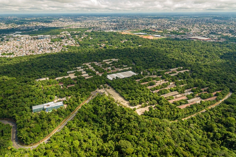 Ativistas estão se mobilizando contra o projeto que pretende modificar a demarcação da Área de Proteção Ambiental (APA) Floresta Manaós.