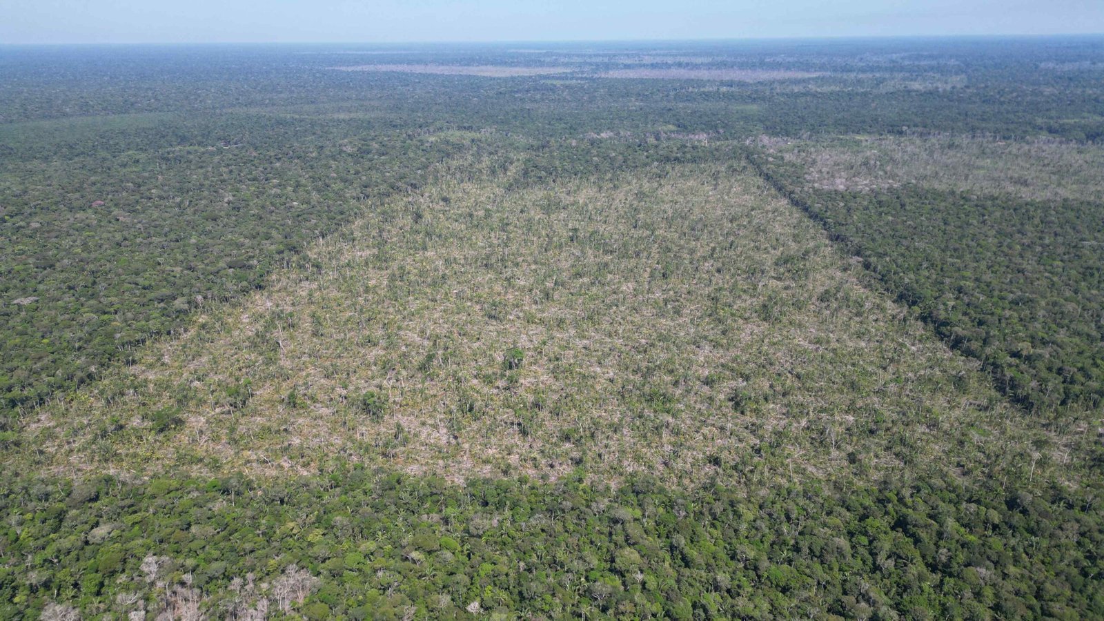 Os casos de roubos a residências caíram 38% em Manaus, entre os meses de janeiro a junho em comparação ao mesmo período do ano passado.