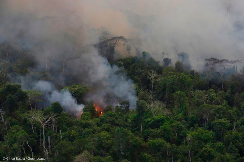 Relatório do Fórum Econômico Mundial aponta que o Brasil necessita de R$ 1 trilhão para cumprir suas metas climáticas até 2030.