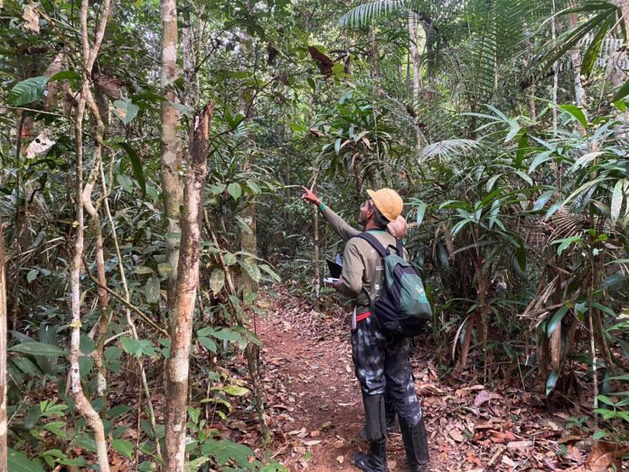 Nas últimas décadas, a conservação da biodiversidade da Amazônia está recebendo uma série de impulsos tecnológicos no estado do Amazonas.