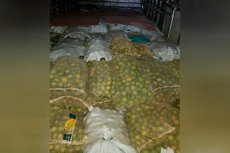 A Adaf impediu a entrada no estado do Amazonas de frutos hospedeiros de pragas perigosas para a fruticultura