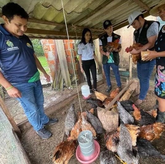 Técnicos alertam para os riscos do estresse térmico nos animais devido a seca destacam medidas emergenciais para evitar perdas