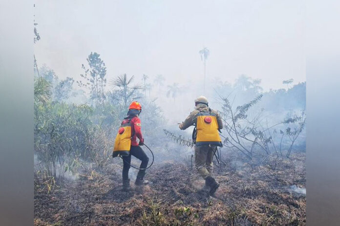 O Corpo de Bombeiros apontam quais foram os municípios no Amazonas que mais apresentaram ocorrências.