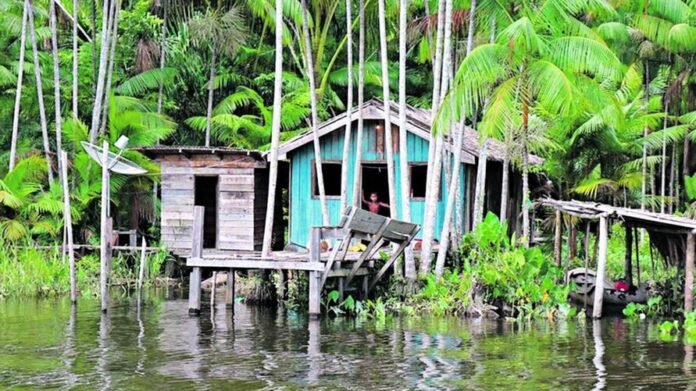 Os ribeirinhos estão presentes em toda a extensão territorial da região amazônica e a preservação de seu modo de vida é fundamental.