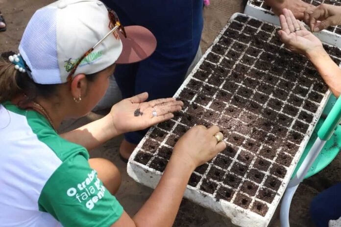 O Governo do Amazonas por meio da Sepror, capacitou 11.381 mil agricultores amazonenses em 29 municípios do Amazonas.