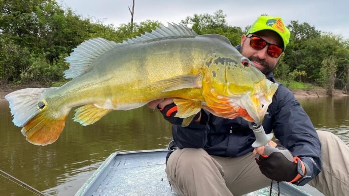 O MPF emitiu recomendação à empresa Acute Angling EUA, solicitando a suspensão imediata de atividades de pesca esportiva no Amazonas.