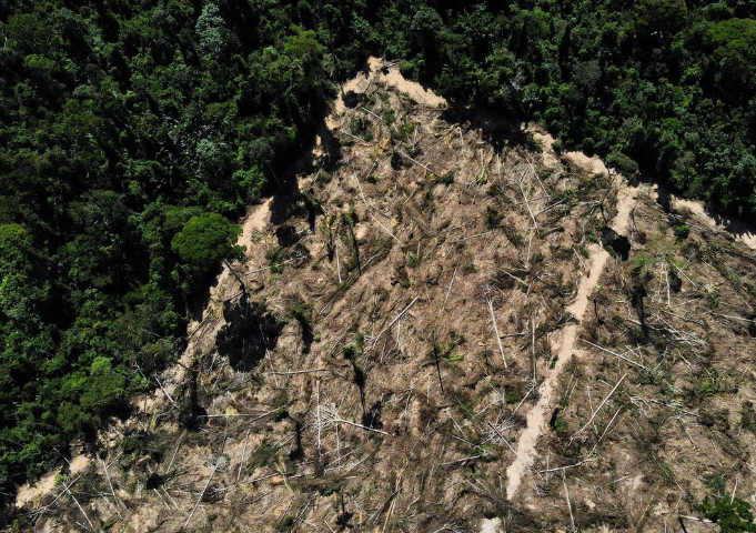 Pesquisadores alertam para o impacto dos riscos irreversíveis do aquecimento global, desmatamento e o cultivo do solo na Floresta Amazônica.