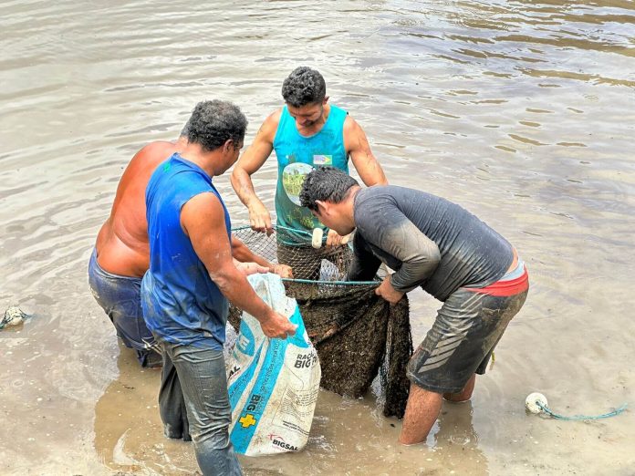 O Feirão do Pescado 2024 terá mais de 140 toneladas de peixes regionais para os consumidores de Manaus nos dias 27, 28 e 29 de março.