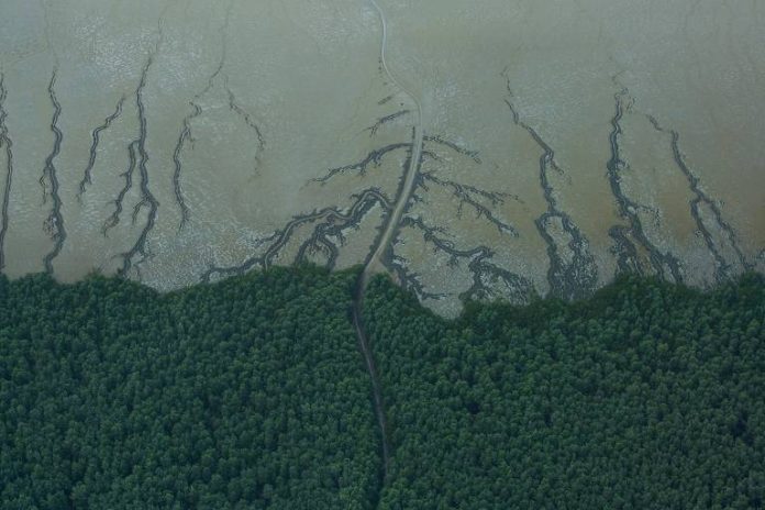 A Petrobras enfrenta resistência de grupos indígenas e agências governamentais em seu plano de explorar a Foz do Rio Amazonas.
