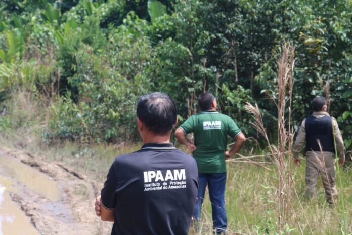 O Ipaam aplicou cerca de R$ 14 milhões em multas, emitiu 18 autos de infração, 43 Termos de Embargo e embargou mais de 9 mil hectares.