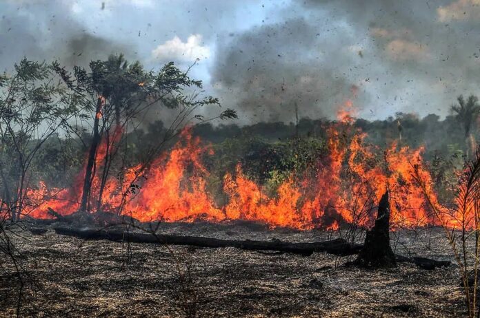 O presidente Luiz Inácio Lula da Silva se reuniu com ministros de Estado para tratar sobre as emergências climáticas e os incêndios florestais.