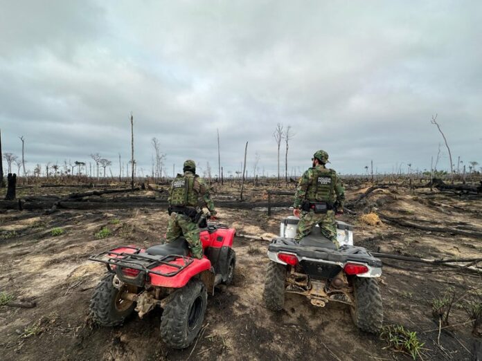 Policiais em operação em área desmatada na divisa do Acre com o Amazonas.