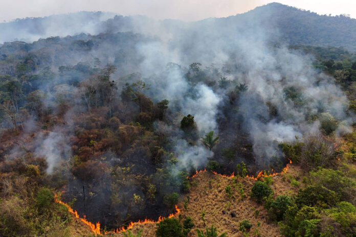 Queimadas destruíram área equivalente ao estado de Roraima.