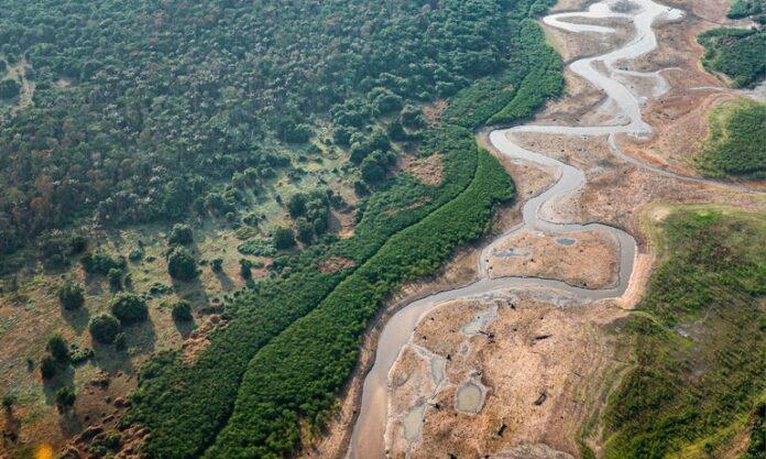 O presidente Lula liberou R$ 938 milhões para enfrentar os efeitos da seca e incêndios florestais na Amazônia e no Pantanal.