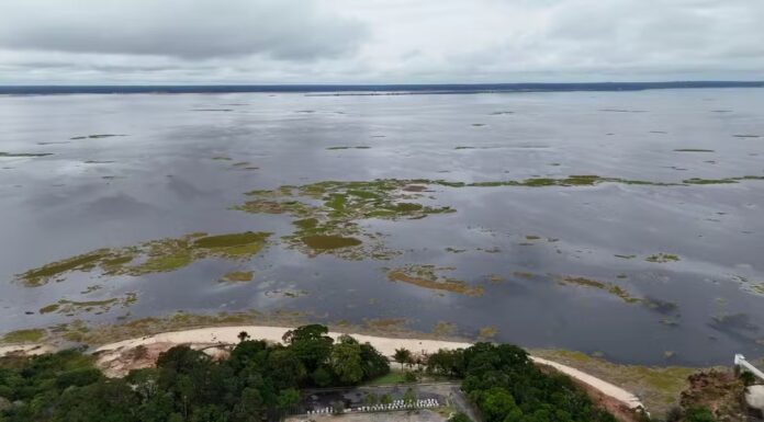 Em Manaus, o Rio Negro subiu 3,80 metros só em janeiro, atingindo o nível de 22,20 metros pela primeira vez desde a secas de 2024.