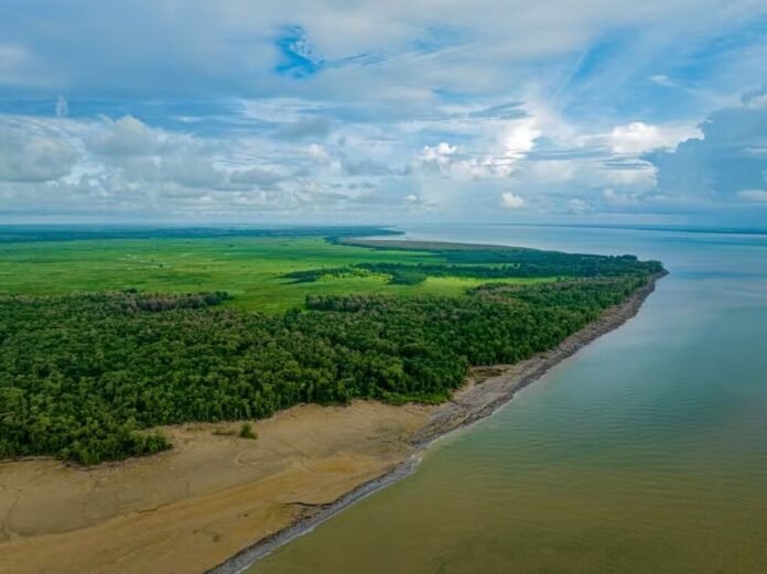 Ibama aprovou Plano de Proteção e Atendimento à Fauna Oleada da Petrobras, que faz parte de projeto de perfuração de poços no rio Amazonas.