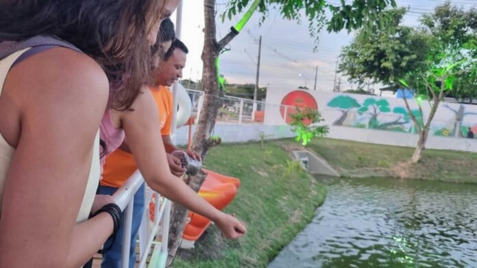 No Dia Mundial do Meio Ambiente, a lagoa da Compensa, recebeu a visita técnica de representantes do Pnuma, do governo federal e da FGV.