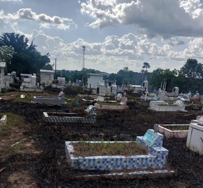 Para evitar novos incêndios em cemitérios, a Semulsp orienta que os visitantes optem por alternativas seguras nas homenagens.