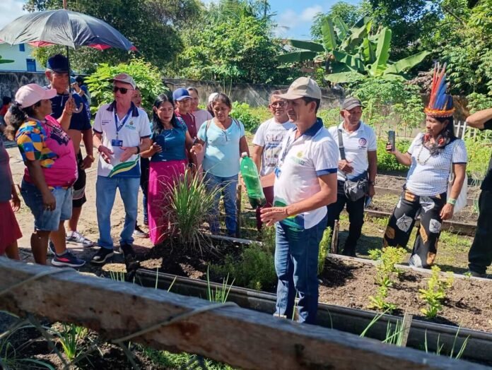 O Governo do Amazonas concluiu cursos de capacitação voltados para 53 agricultores da etnia Tikuna.