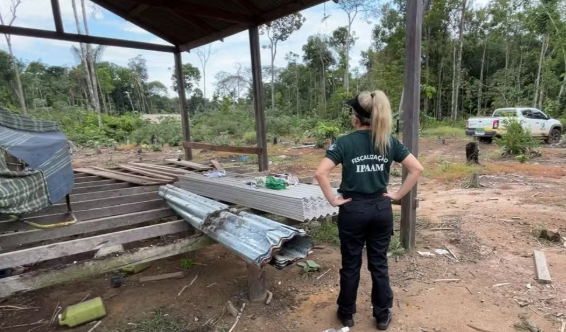 Uma operação do Ipaam resultou em mais de R$ 100 mil em multas aplicadas por crimes ambientais em seis municípios do estado.