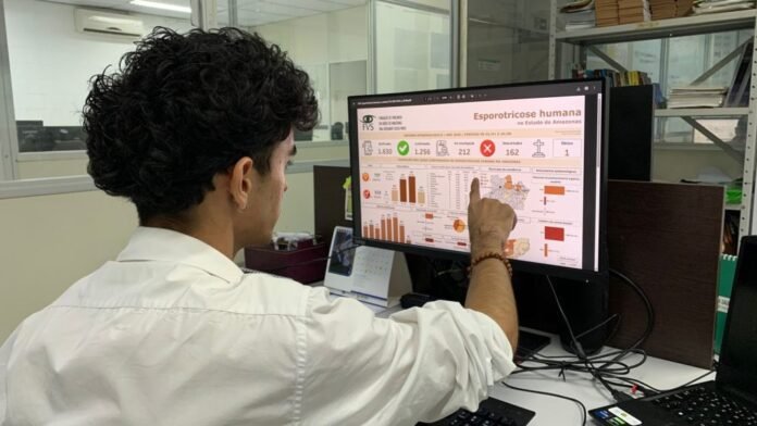 Amazonas registrou 1.630 casos de esporotricose humana e 3.204 casos em animais desde janeiro