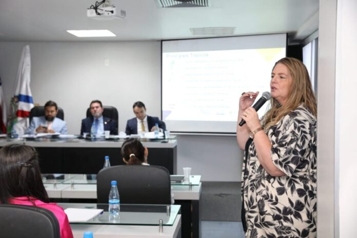 Os resultados do relatório foram detalhados pela secretária Nayara Maksoud aos parlamentares, na Comissão de Saúde da Aleam