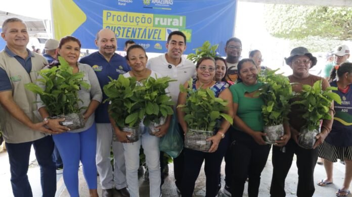 Sepror distribui 750 mudas de café a 25 produtores em Presidente Figueiredo, incentivando a economia local e o cultivo da cultura cafeeira.