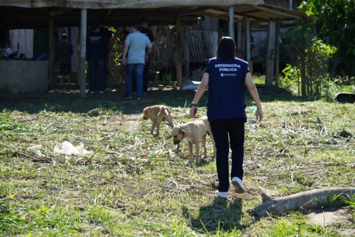 Defensoria não questiona o enfrentamento da mineração clandestina, mas busca alternativas para defender populações ribeirinhas da região.