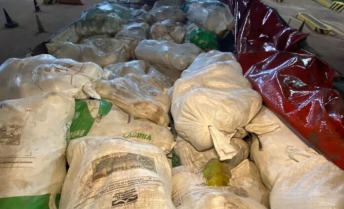 frutas Adaf apreende mais de 4 toneladas de frutas ilegais com risco de pragas antes de chegar a Manaus.
