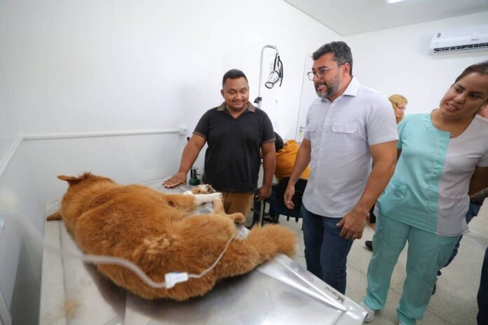 O primeiro Hospital Veterinário do Amazonas oferece atendimento gratuito para cães e gatos de famílias de baixa renda.