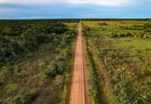 Licenciamento Ambiental Especial entra em vigor e pode destravar obra da BR-319 cLicenciamento Ambiental Especial entra em vigor e pode acelerar a obra da BR-319, com prazo máximo de 12 meses para análise ambiental.