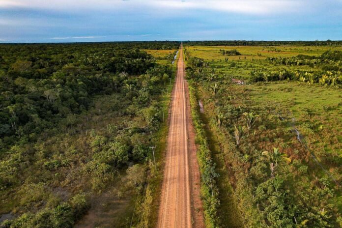 cLicenciamento Ambiental Especial entra em vigor e pode acelerar a obra da BR-319, com prazo máximo de 12 meses para análise ambiental.