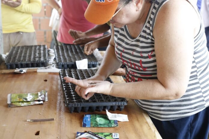 Sepror realiza 187 cursos e capacita mais de 4 mil produtores rurais em seis municípios do Amazonas em 2025.