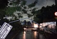 Temporal com ventos de 55 km/h causa estragos e apagões em Manaus Temporal com ventos de 55 km/h provoca quedas de árvores, alagamentos e falta de energia em vários bairros de Manaus neste domingo (7).