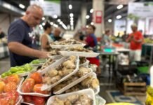 Feiras da ADS movimentam mais de R$ 20 milhões em Manaus em 2025 Feiras da ADS movimentaram mais de R$ 20 milhões em Manaus em 2025, beneficiando produtores rurais e fortalecendo a economia solidária.